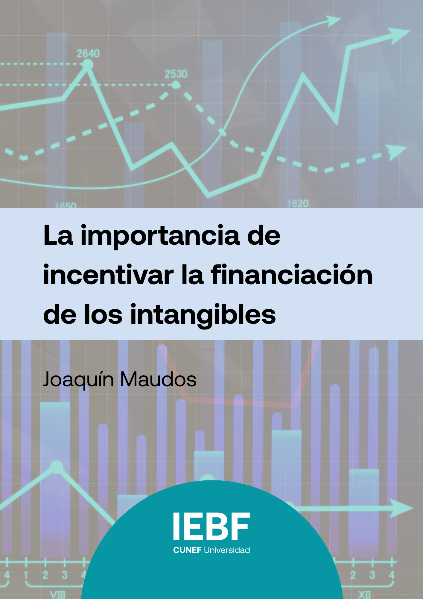 La importancia de incentivar la financiación de los intangibles